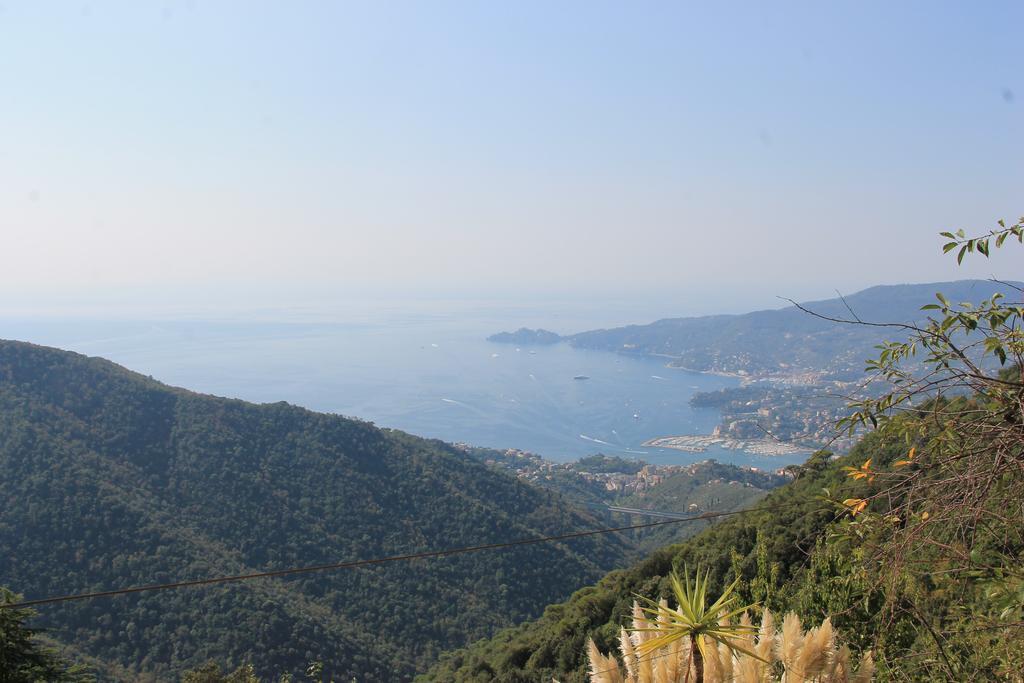 Hotel Montallegro Rapallo Exterior foto
